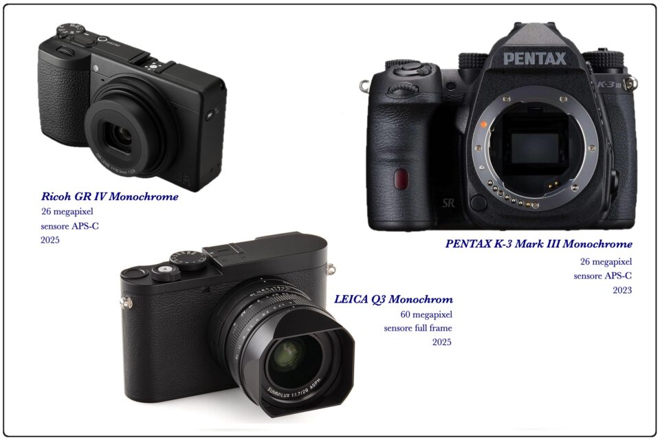 Alcuni esempi di fotocamere Monochrome, di Ricoh, Leica e Pentax.